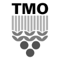TMO